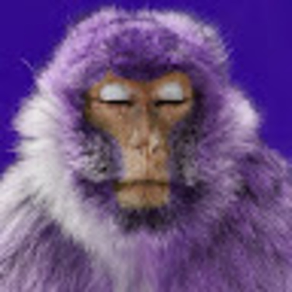 Meet your Posher, Zip